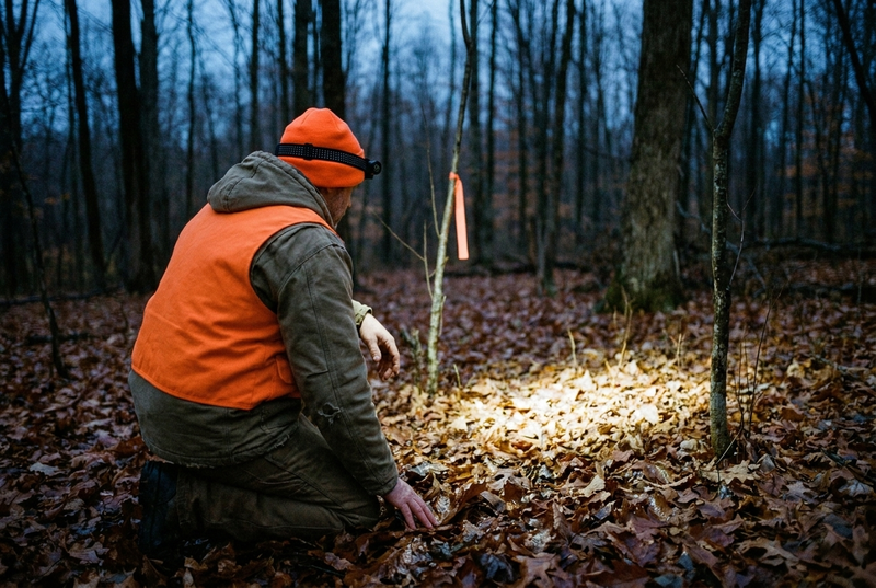 A hunter in a blaze orange vest and beanie, seen from behind, kneeling on wet fallen leaves in a forest at dusk, with a headlamp lighting the ground ahead and a strip of orange flagging tape tied to a sapling.
