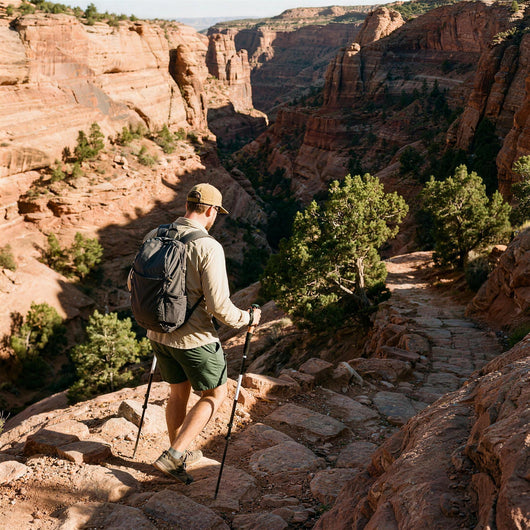 Hiker descending a red rock canyon trail with a trekking pole in each hand